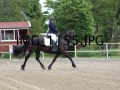 IMG_1155