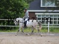 IMG_1171
