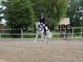 IMG_1504