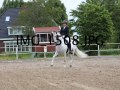 IMG_1508