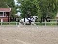 IMG_1522