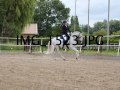 IMG_1523