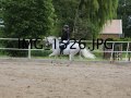 IMG_1526