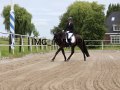 IMG_1955