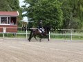 IMG_1956