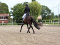 IMG_1962