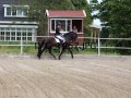 IMG_1967