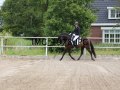 IMG_1978