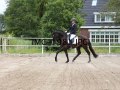 IMG_1981