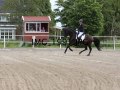IMG_1991