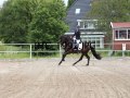 IMG_1992