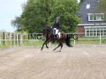 IMG_1993