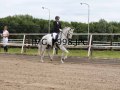 IMG_1998