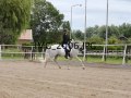 IMG_2006