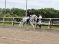 IMG_2007