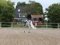 IMG_2011