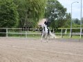 IMG_2015