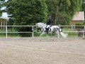 IMG_2029
