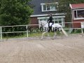 IMG_2030