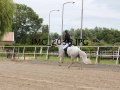 IMG_2036