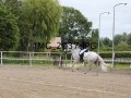 IMG_2037