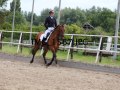 IMG_1567