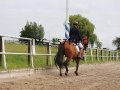IMG_1571