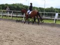 IMG_1584