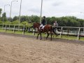 IMG_1585