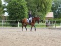 IMG_1587