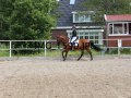 IMG_1590