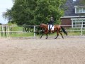IMG_1591