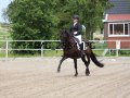 IMG_2584