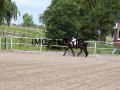 IMG_2602