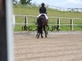 IMG_2619