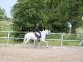 IMG_2911