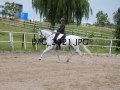 IMG_2921